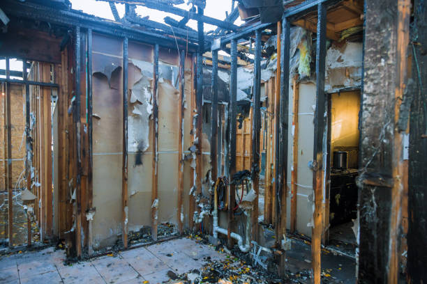 Professional Fire Damage Removal technician working in Mancos, CO